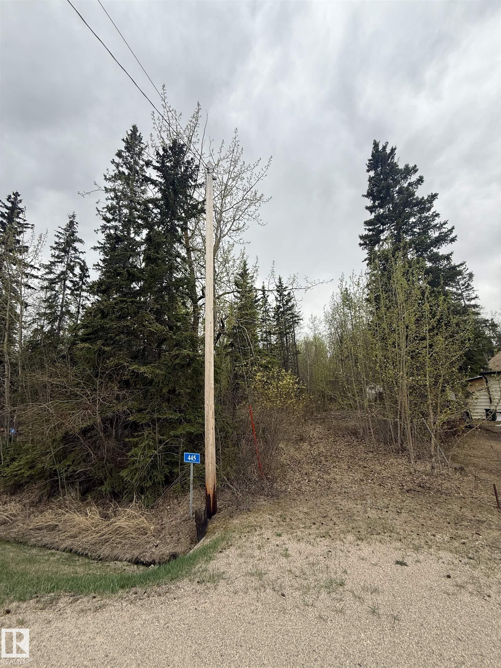 445 Lakeview Drive, E4488218, Alberta,