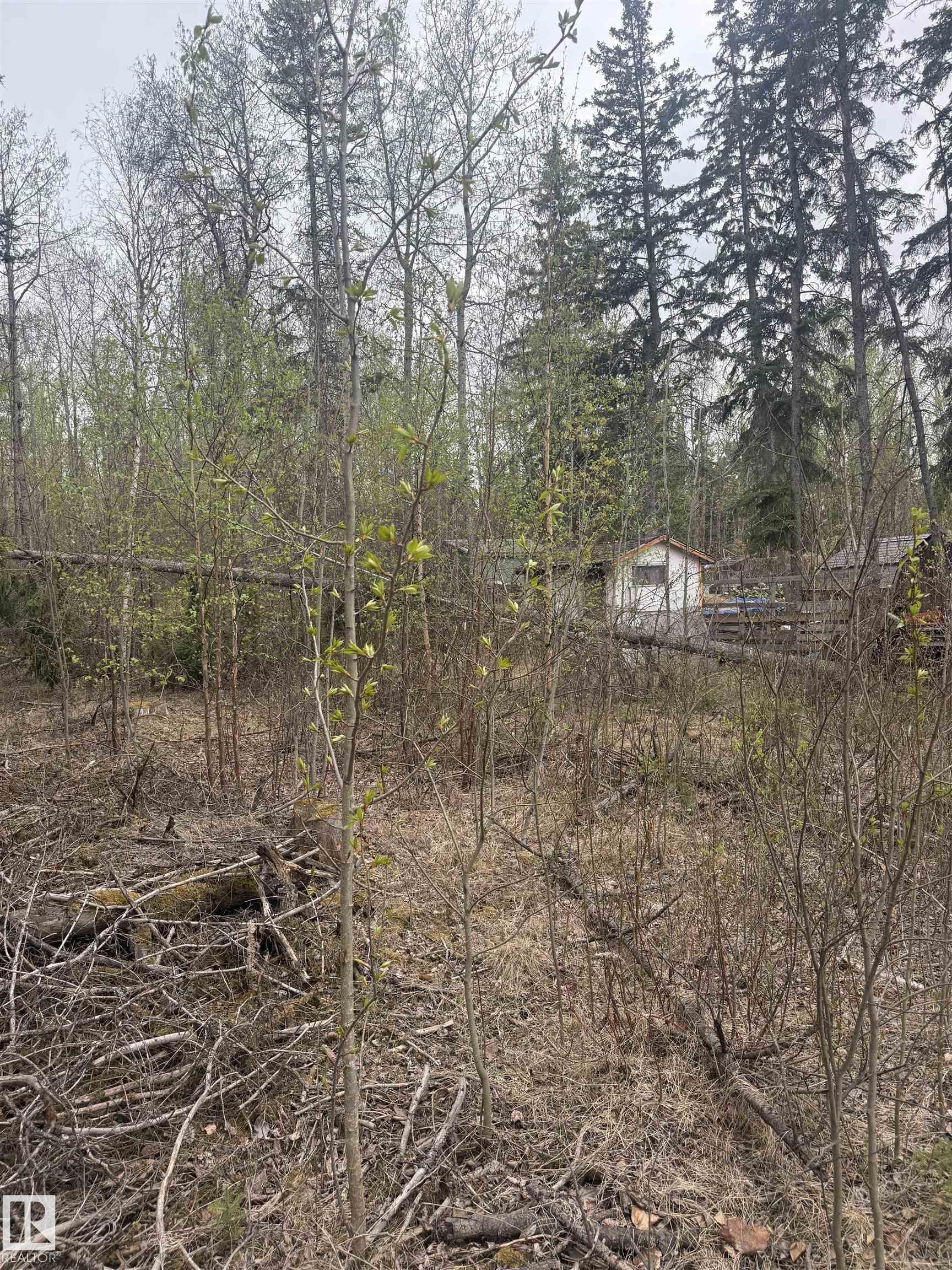Fifth View of 445 Lakeview Drive, Sandy Beach, Rural Lac Ste. Anne County, Alberta, T0E 1V0