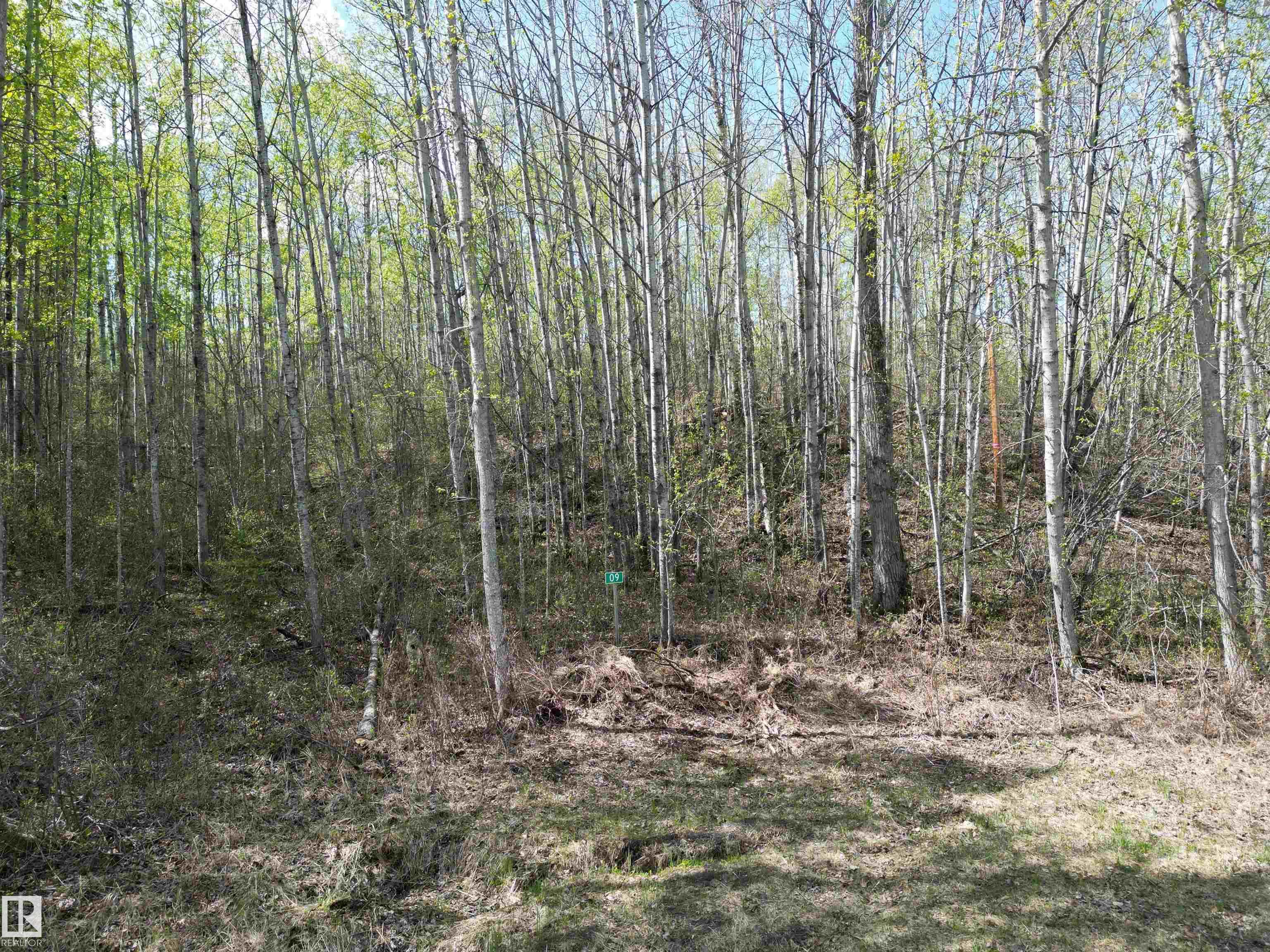 Third View of 9&10 59316 RR54, Summer Lea, Rural Barrhead County, Alberta, T7N 1N3