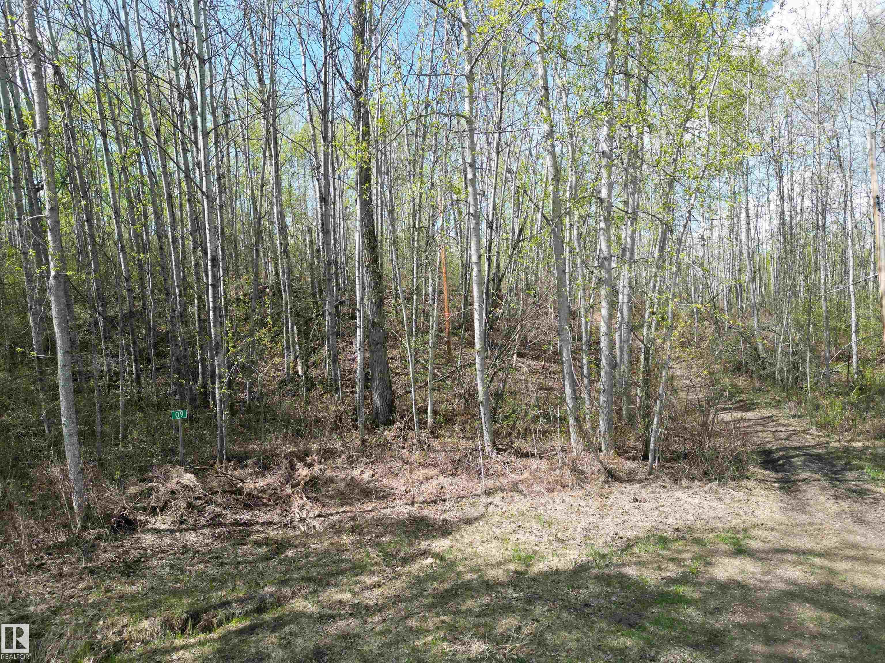 Fourth View of 9&10 59316 RR54, Summer Lea, Rural Barrhead County, Alberta, T7N 1N3