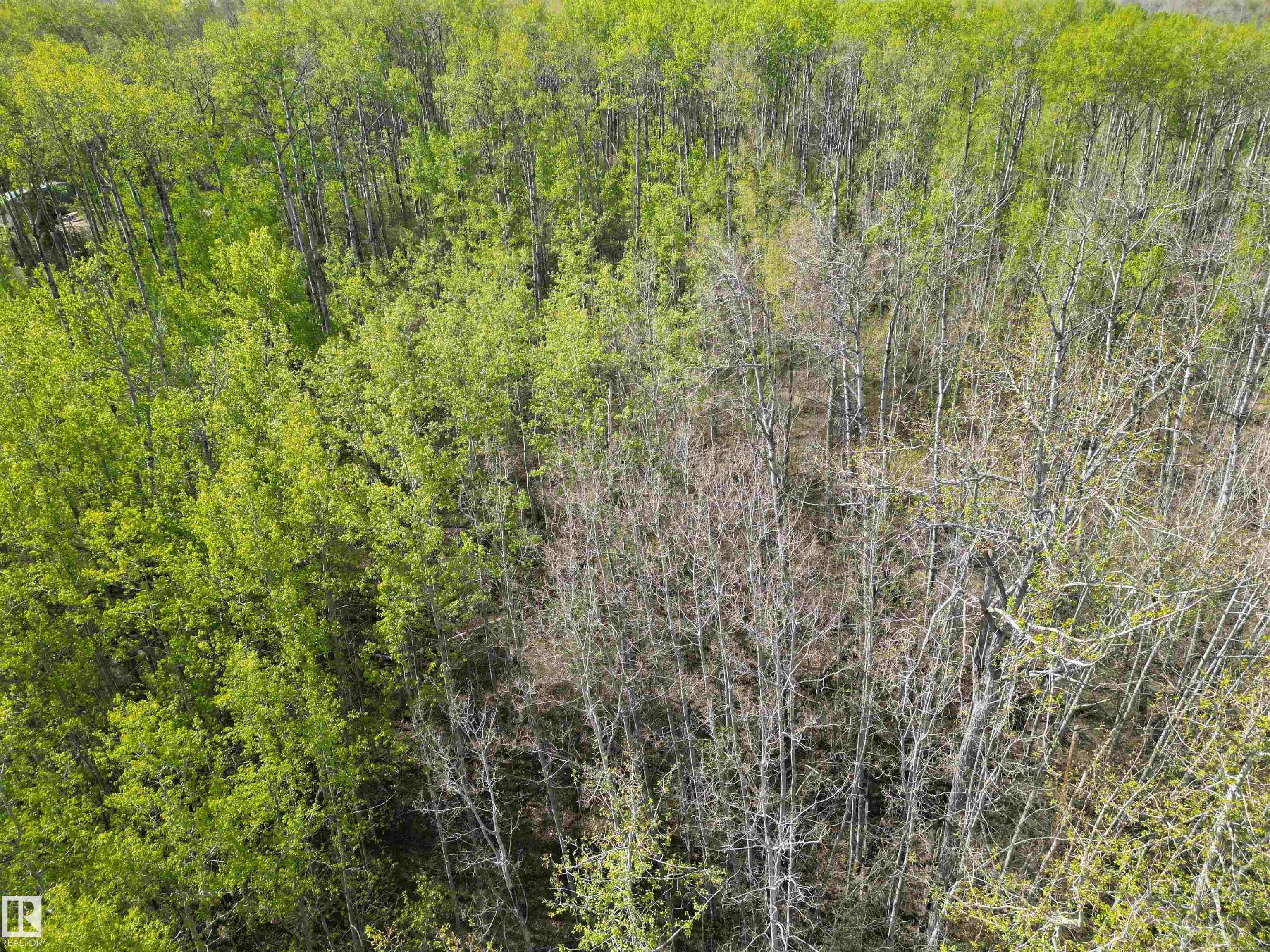 Fifth View of 9&10 59316 RR54, Summer Lea, Rural Barrhead County, Alberta, T7N 1N3