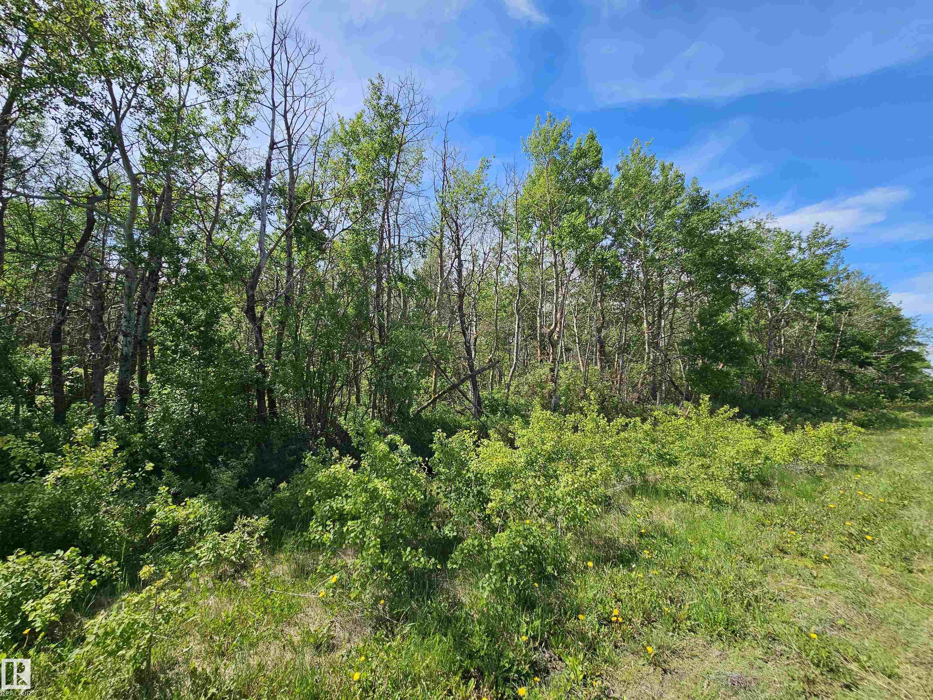 Twp Rd 580 Range Road 95, E4492895, Alberta,