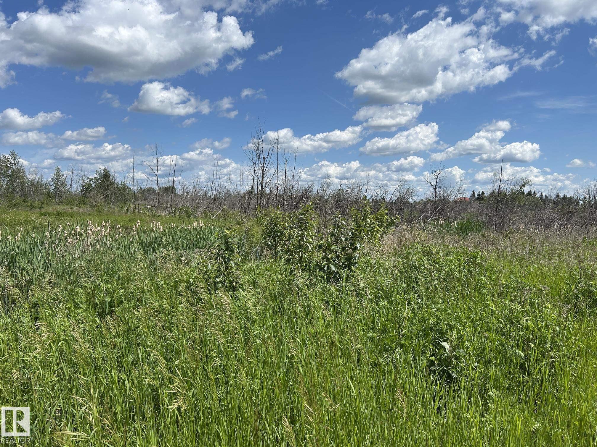 RR 205 Hwy 28, E4497255, Alberta,