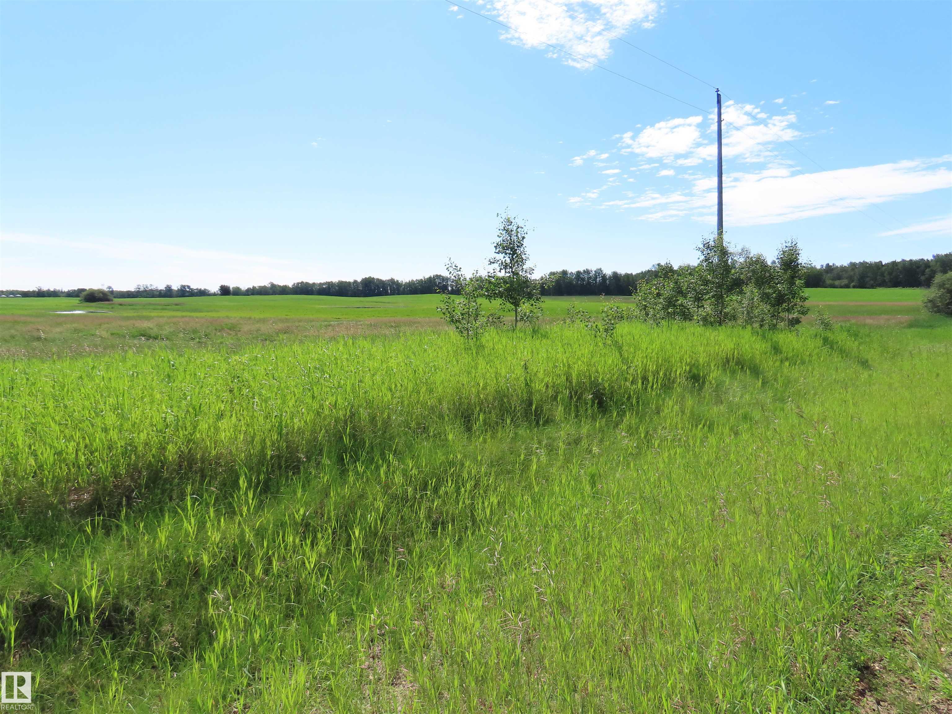 Fourth View of 55421 RGE ROAD 31, None, Rural Lac Ste. Anne County, Alberta, T0E 1V0