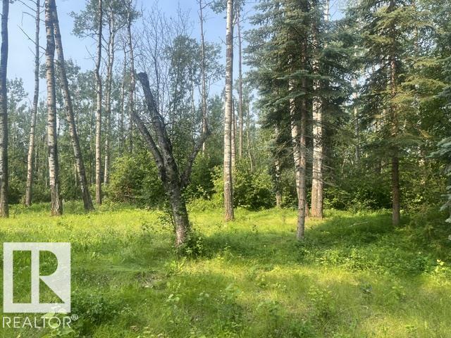 113 55107 RR 33, E4500852, Alberta,