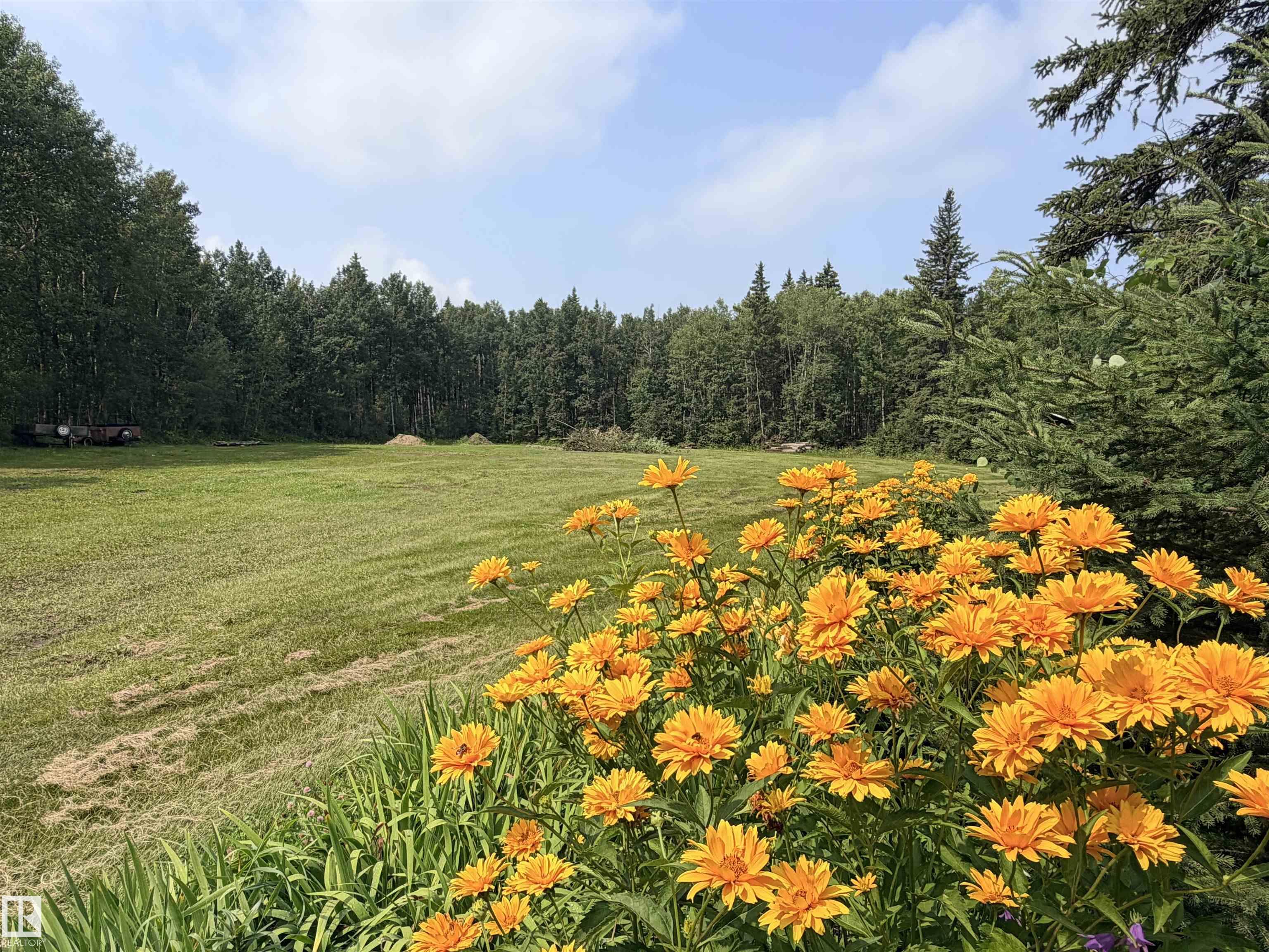 3306 RAIL GRADE Road, E4502922, Alberta,