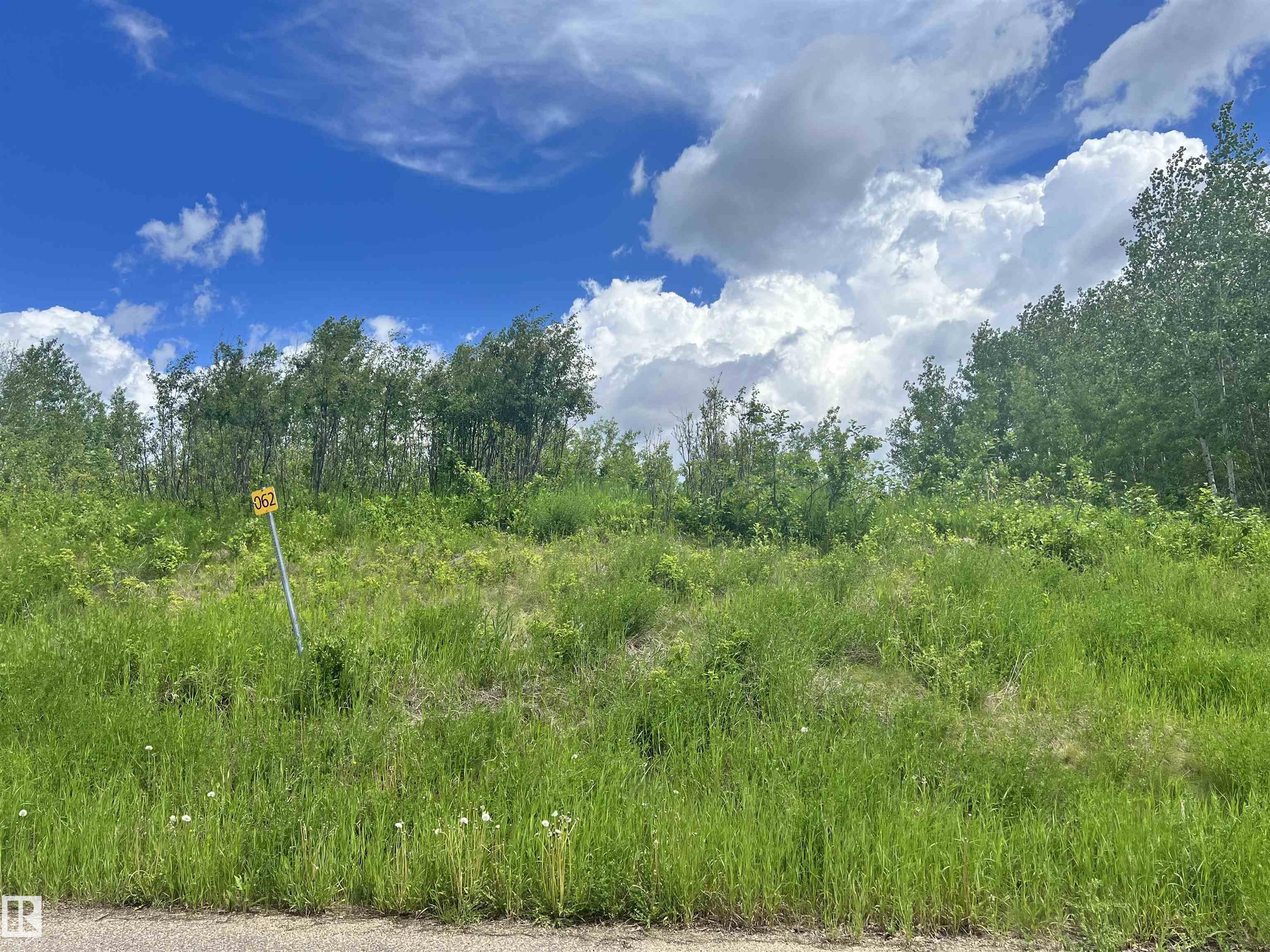 62 Coney Drive, E4504754, Alberta,