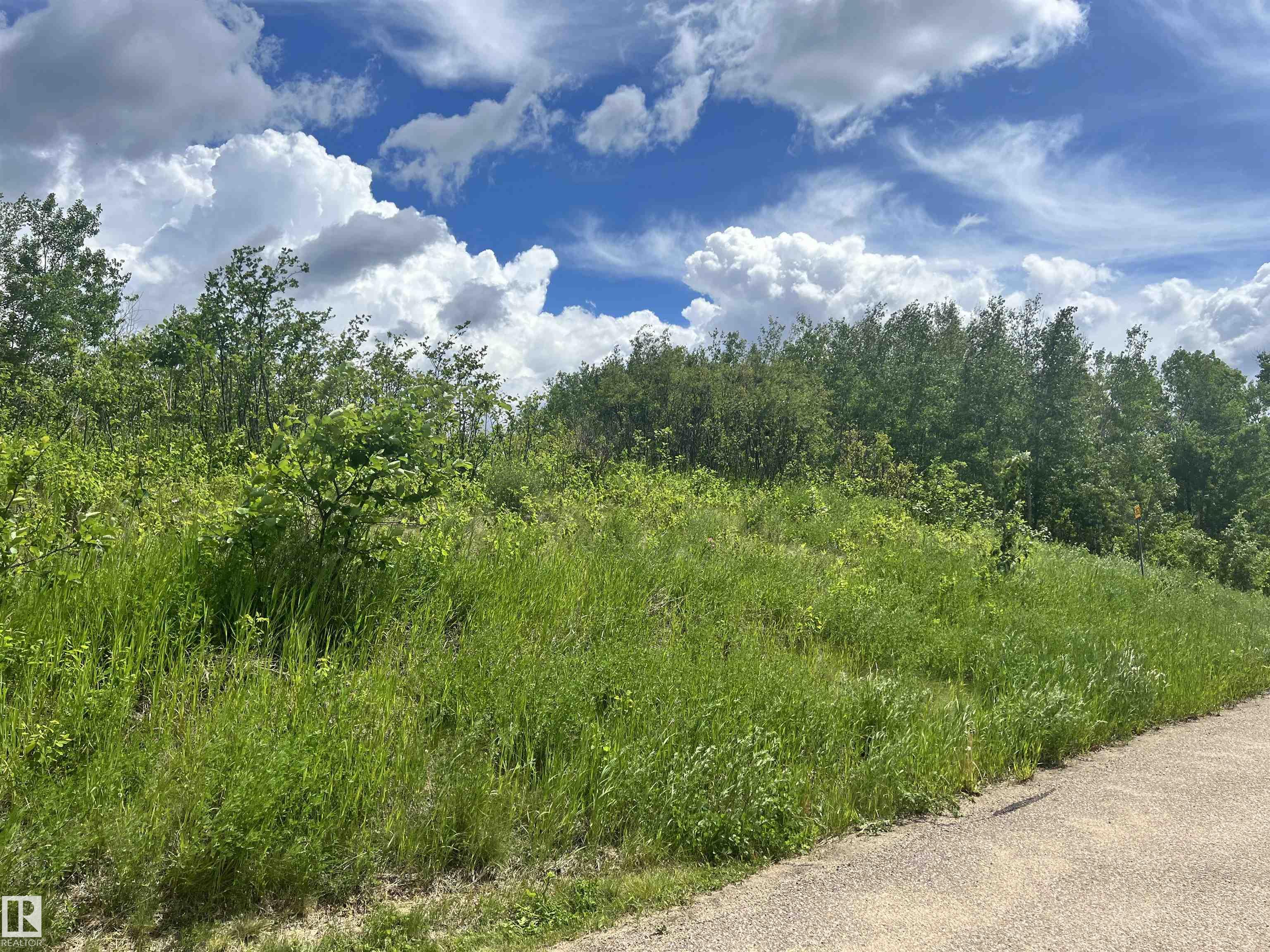 Fourth View of 62 Coney Drive, Horseshoe Bay (St Paul County), Rural St. Paul County, Alberta, T0A 3A0