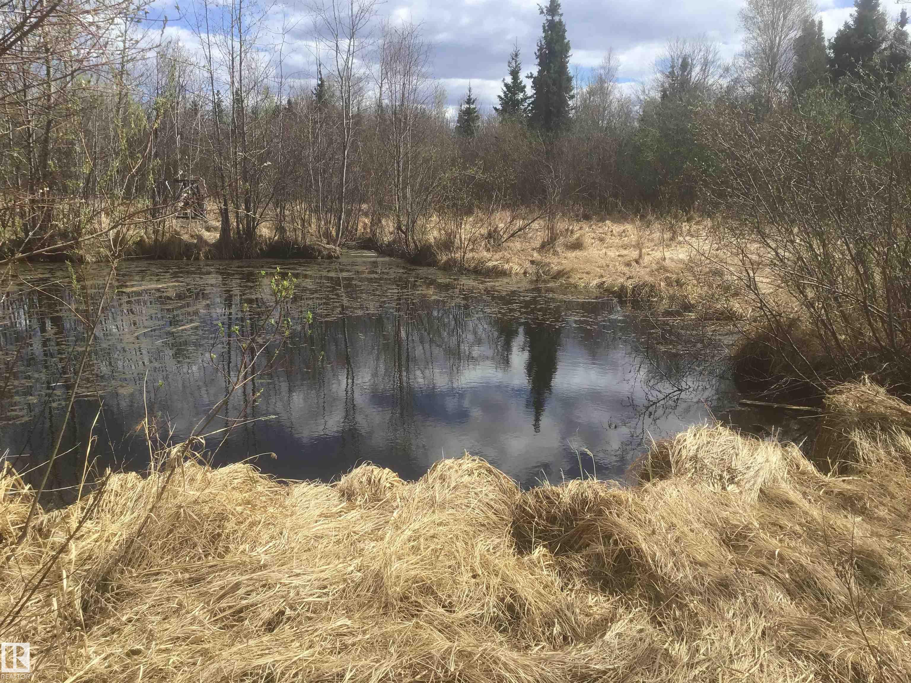 Fifth View of 48022 RGE ROAD 60, None, Rural Brazeau County, Alberta, T0C 0S0
