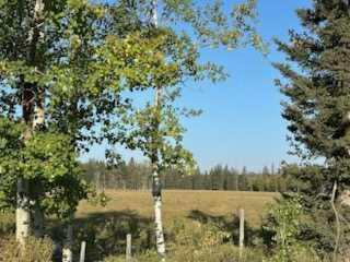 SE 3-33-5 W5  , A2238490, Alberta,