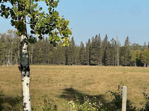 Third View of SE 3-33-5 W5  , NONE, Rural Mountain View County, Alberta, T0M 1X0