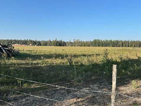 Fifth View of SE 3-33-5 W5  , NONE, Rural Mountain View County, Alberta, T0M 1X0