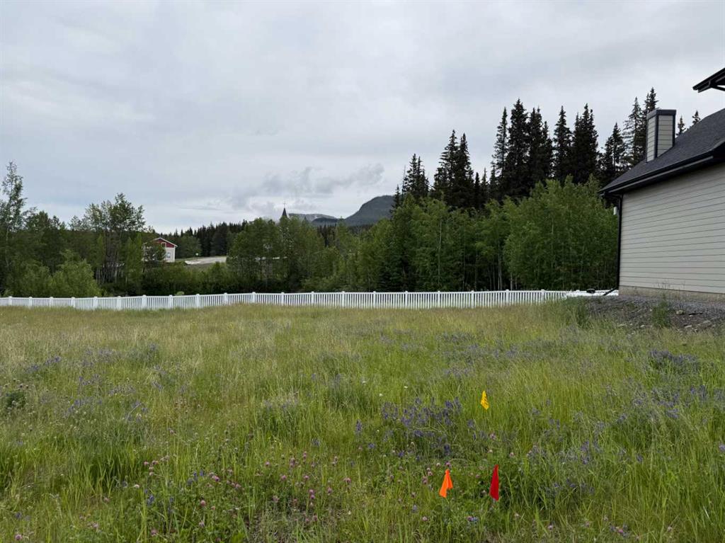 347 Elizabeth Avenue , A2240904, Alberta,