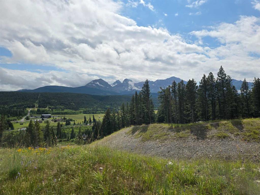 Fifth View of Unit 4, 5302 19th Avenue , NONE, Coleman, Alberta, T0K0M0
