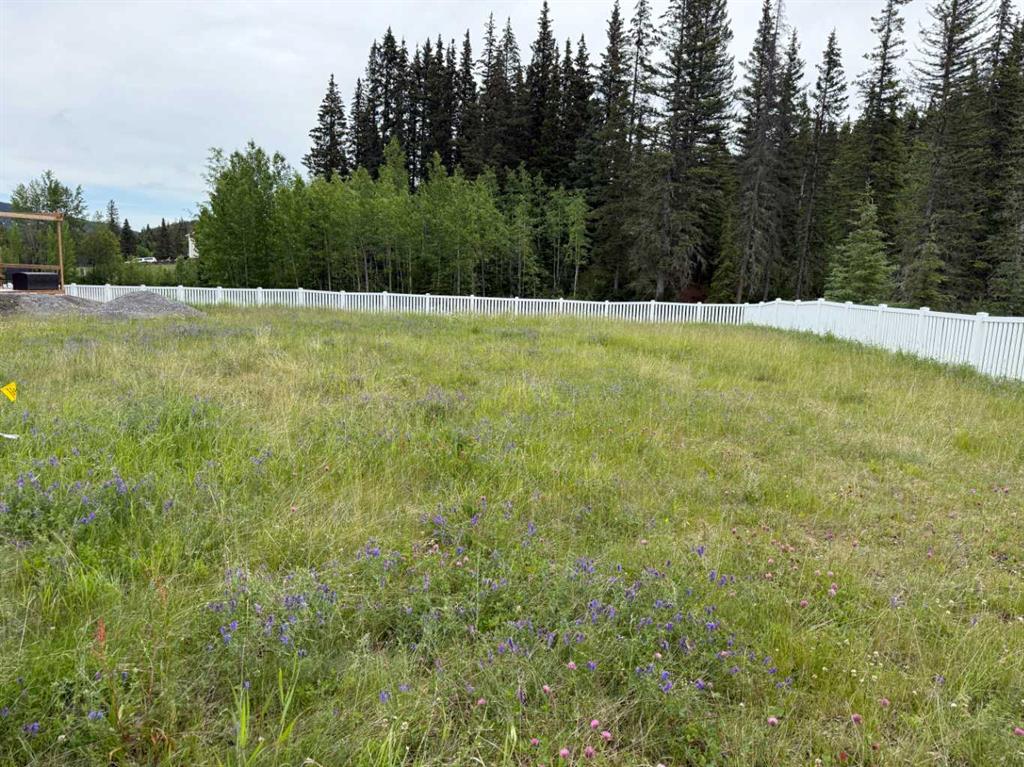 359 Elizabeth Avenue , A2240925, Alberta,