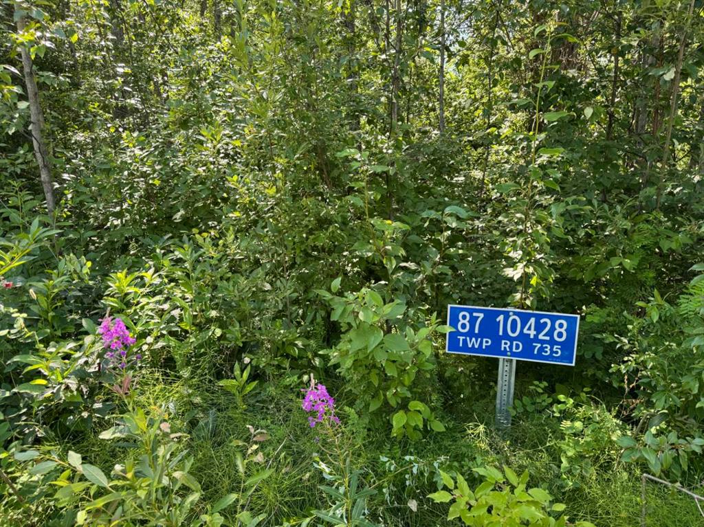 87, 10428 TWP 735 Road , A2241283, Alberta,