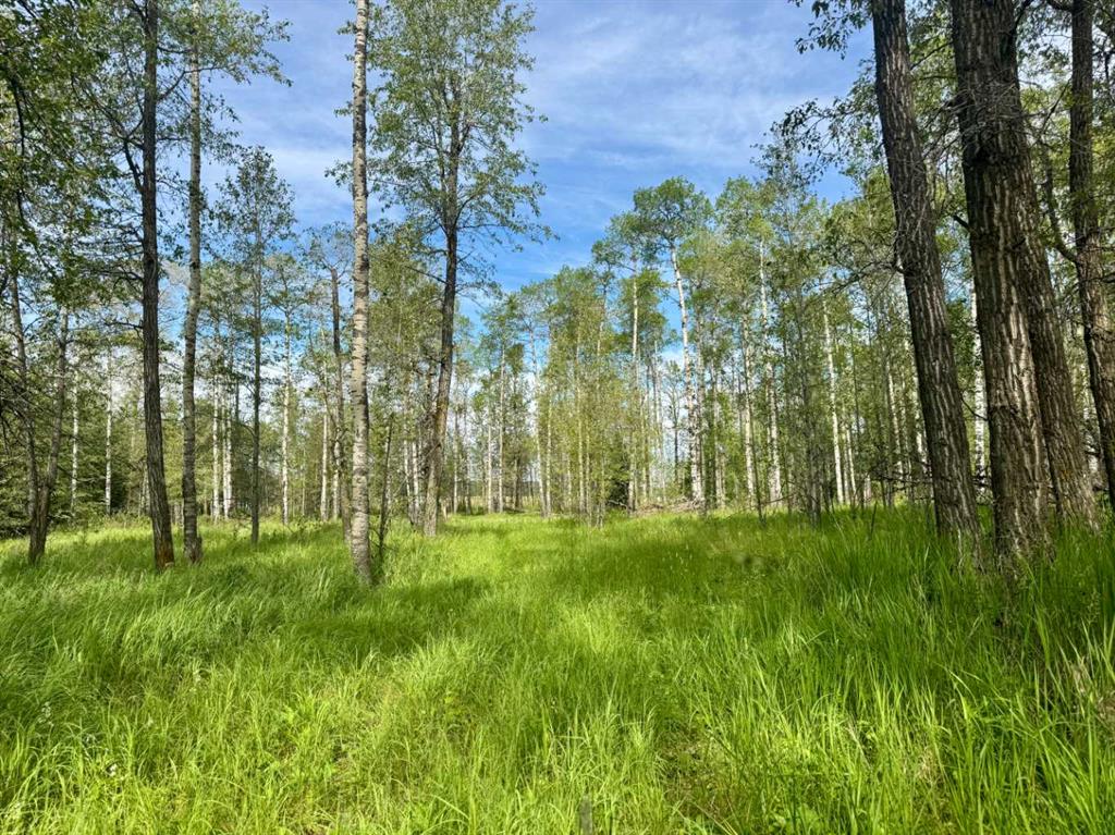 On Range Road 4-1  , A2243105, Alberta,