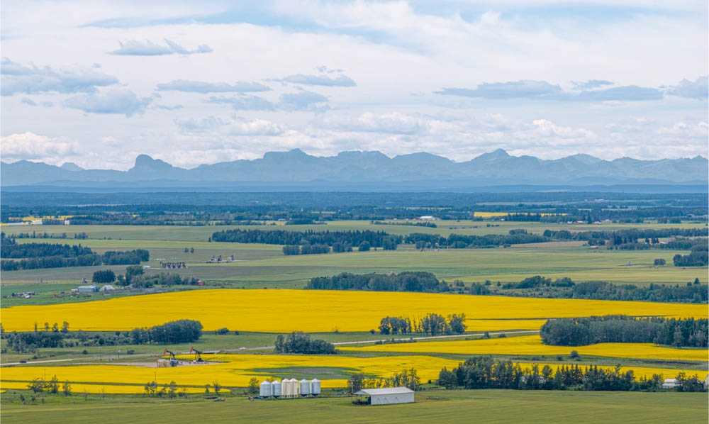 Fourth View of 33078 Highway 766  , NONE, Rural Mountain View County, Alberta, T4H 4A4