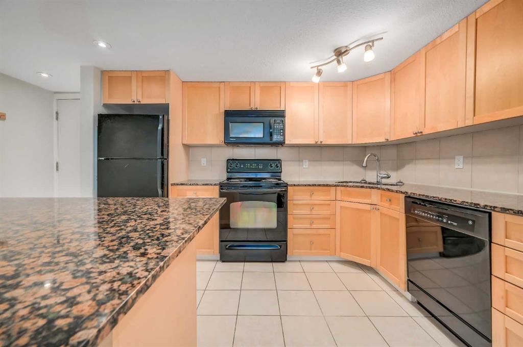 Fifth View of 101, 1424 22 Avenue SW, Bankview, Calgary, Alberta, T2T 0R5