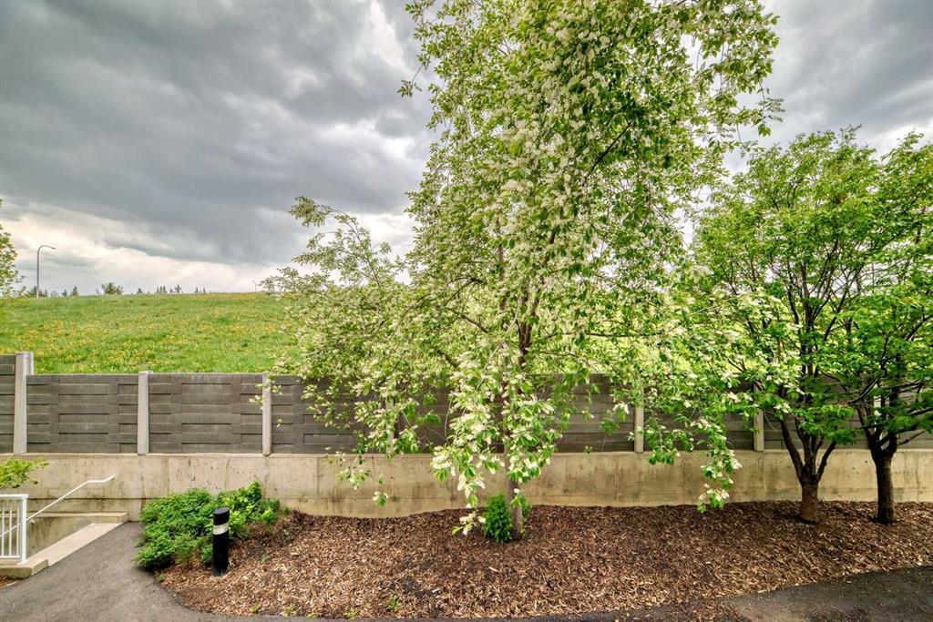 Fourth View of 241, 35 Richard Court SW, Lincoln Park, Calgary, Alberta, T2E 7N9