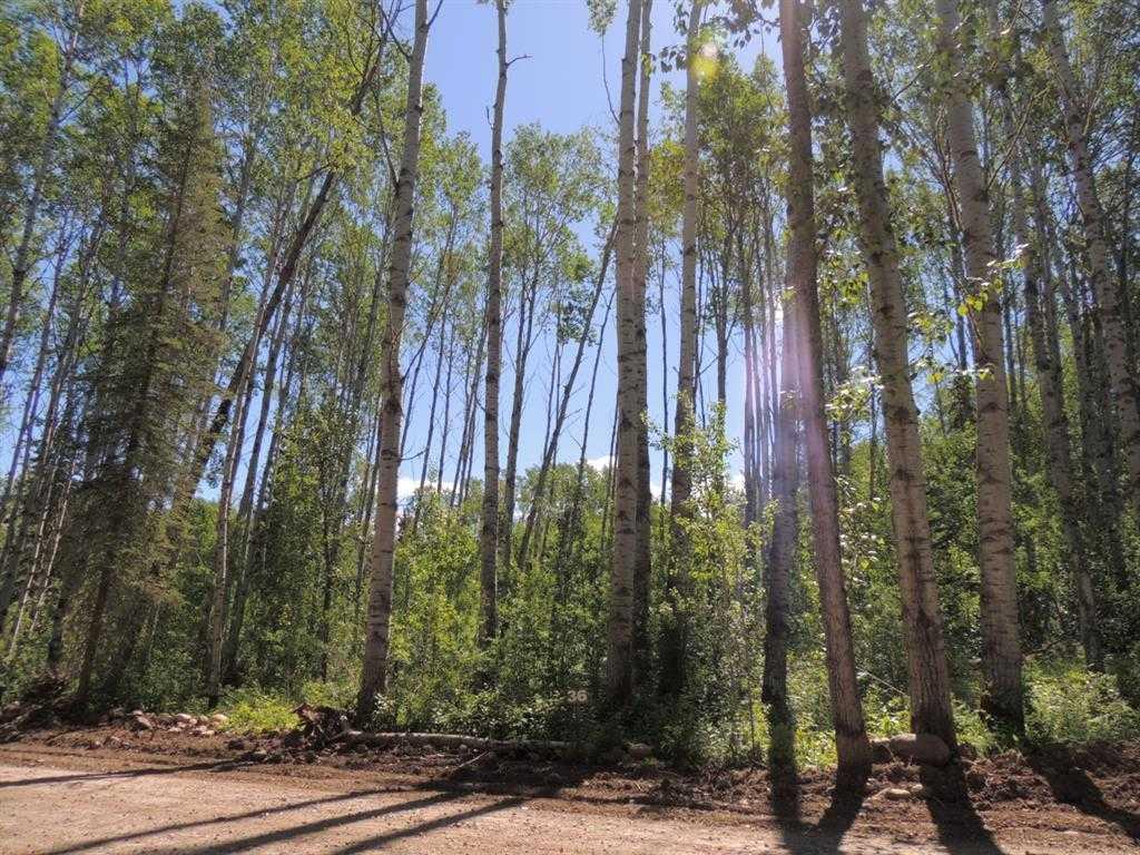 Lot #36 Wapiti River SW-21-69-10-W6  , A2246231, Alberta,