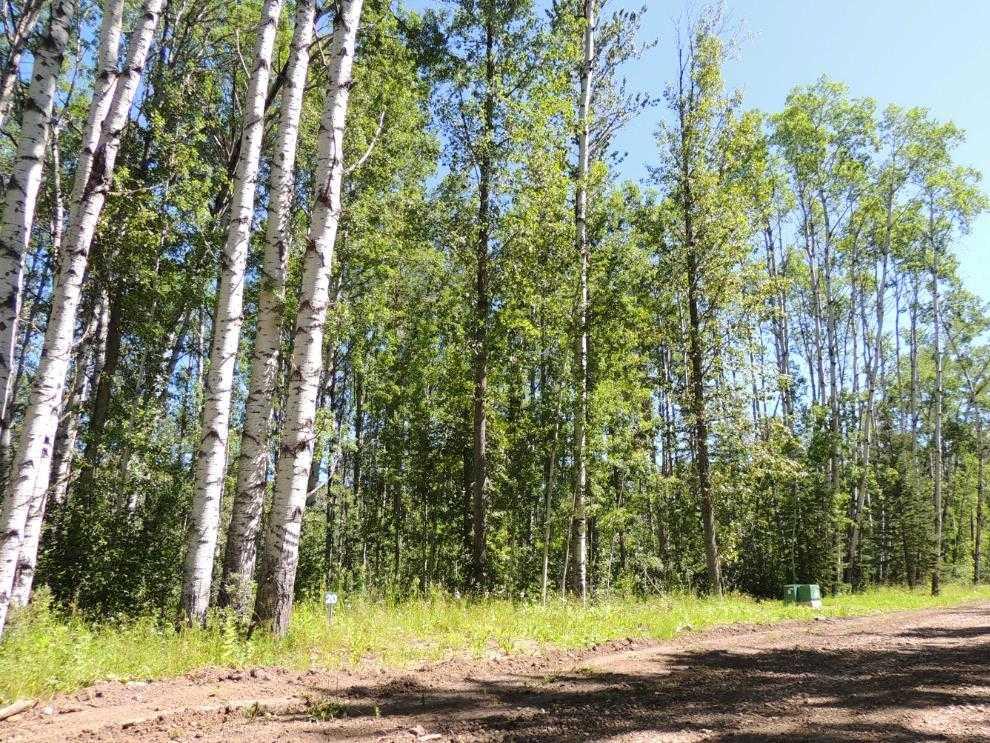Lot #20 Wapiti River SW-21-69-10-W6  , A2246235, Alberta,