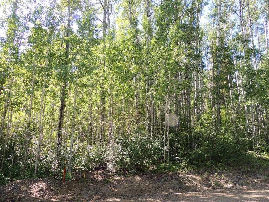 Lot #11 Wapiti River SW-21-69-10-W6  , A2246266, Alberta,