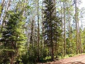 Lot #10 Wapiti River SW-21-69-10-W6  , A2246279, Alberta,