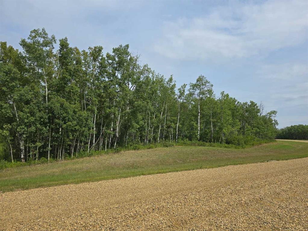 Third View of  Range Road 222  , NONE, Rural Peace No. 135, M.D. of, Alberta, T8S 1T4