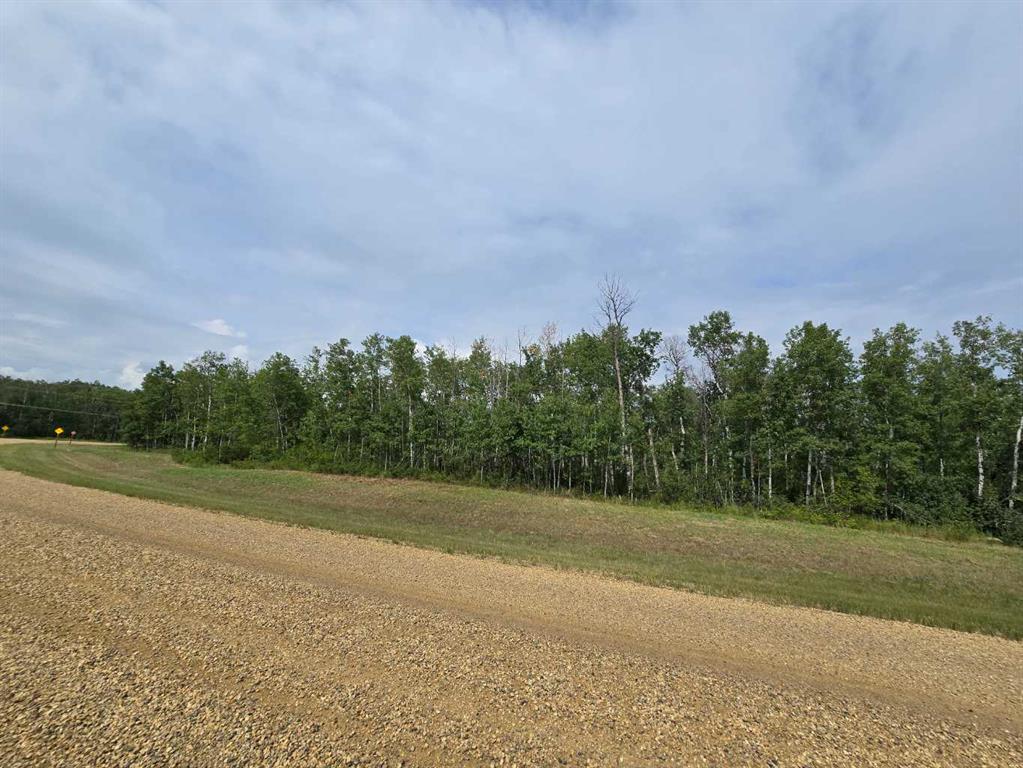 Fifth View of  Range Road 222  , NONE, Rural Peace No. 135, M.D. of, Alberta, T8S 1T4
