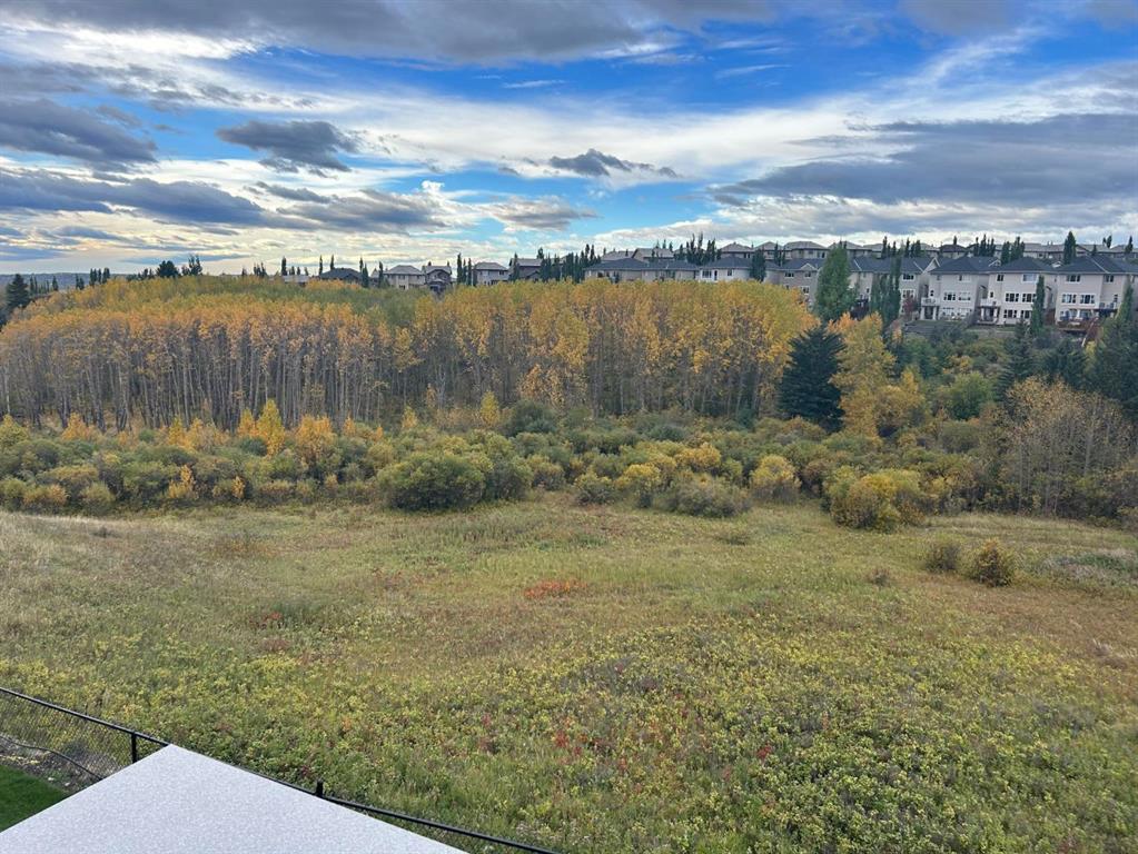 27 Royal Birch Cove NW, A2247311, Alberta,