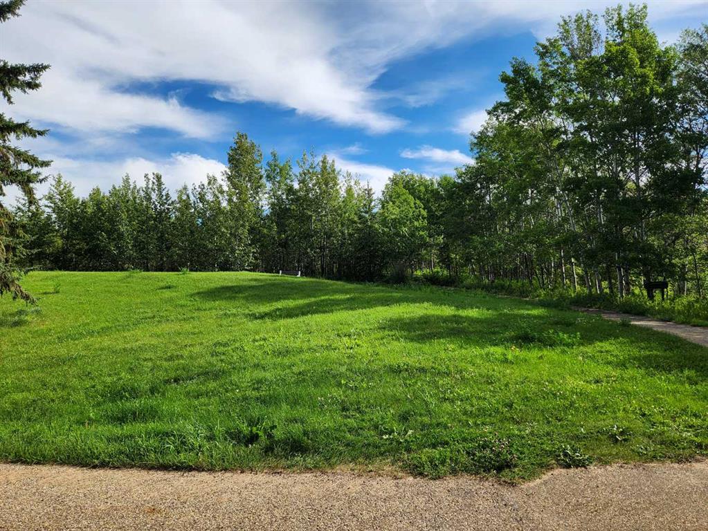 Third View of 5430 51A Street , NONE, Bashaw, Alberta, T0B 0H0