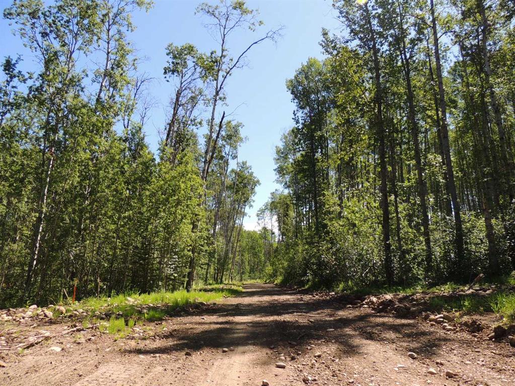 Fourth View of Lot 33, Wapiti River SW-21-69-10-W6  , NONE, Rural Grande Prairie No. 1, County of, Alberta, T0H 1J0
