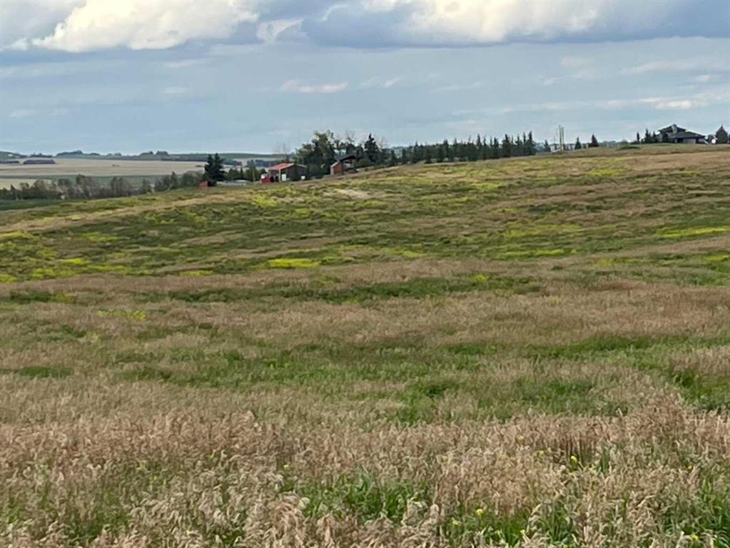 Fourth View of  402 Avenue W, NONE, Rural Foothills County, Alberta, T1S 2E4
