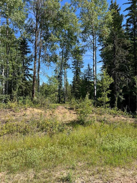 Third View of  SW-21-70-6-W6  , Dunes West, Rural Grande Prairie No. 1, County of, Alberta, T8W 5K1