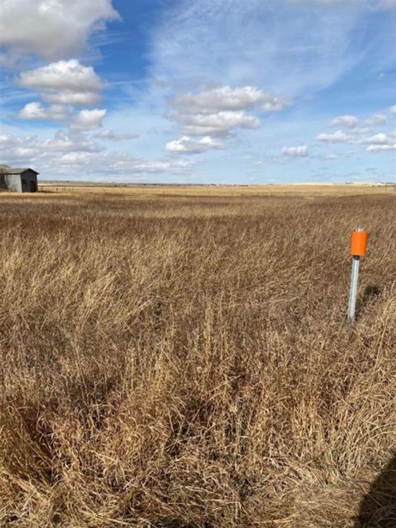 Fifth View of  250 Range Road  , NONE, Rural Vulcan County, Alberta, T0L 1P0