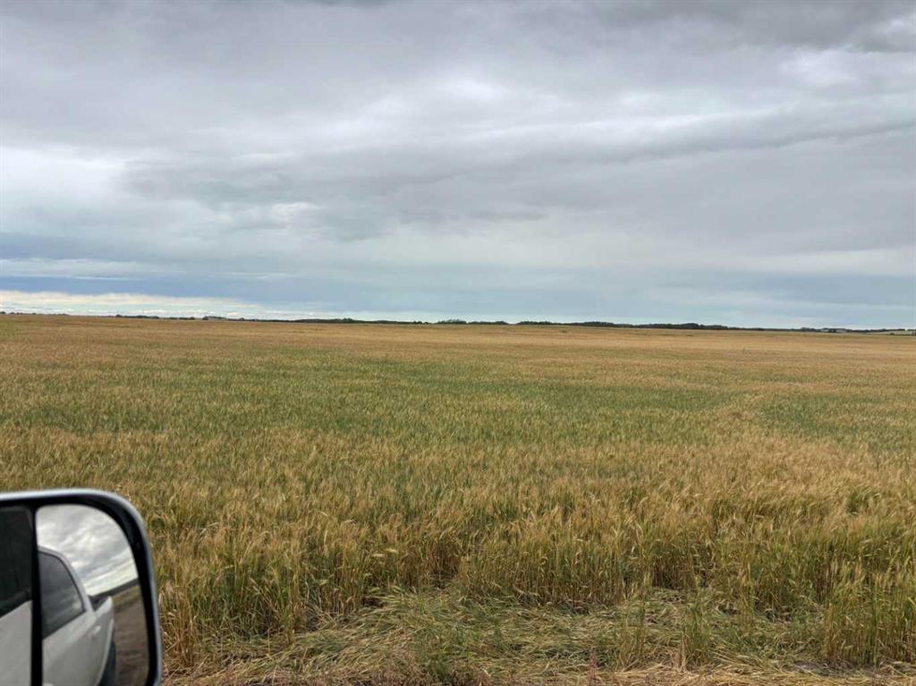 Third View of NE 15 31 27 W4  , NONE, Rural Mountain View County, Alberta, T0M1X0