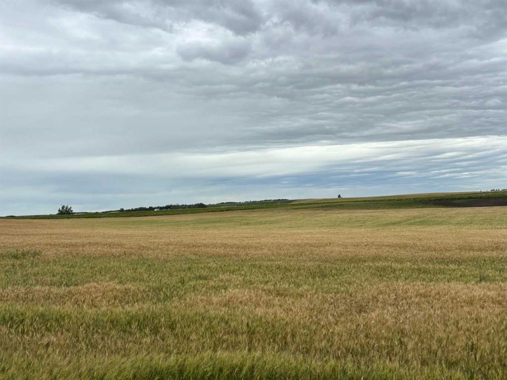 Fourth View of NE 15 31 27 W4  , NONE, Rural Mountain View County, Alberta, T0M1X0