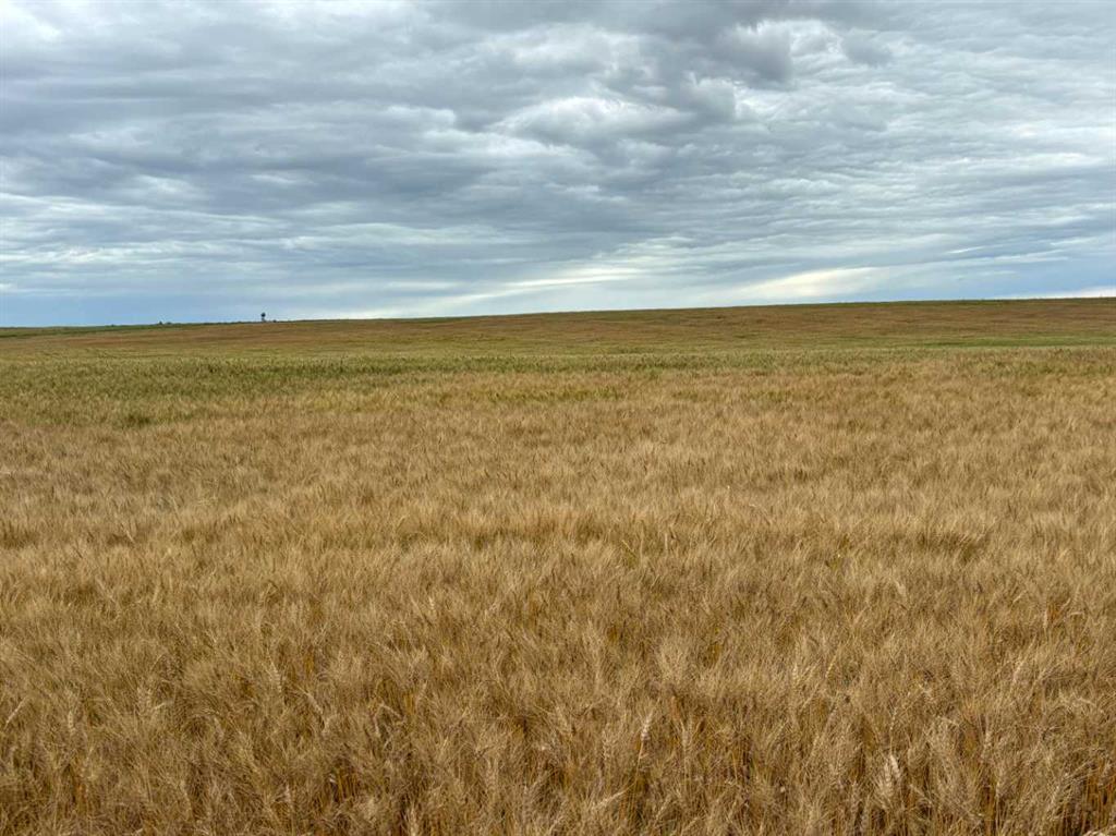 Fifth View of NE 15 31 27 W4  , NONE, Rural Mountain View County, Alberta, T0M1X0