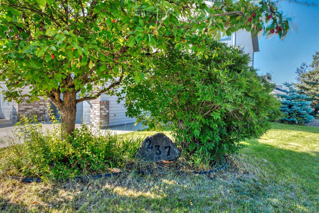Fourth View of 237 Willowbrook Close NW, Willowbrook, Airdrie, Alberta, T4B 2J6