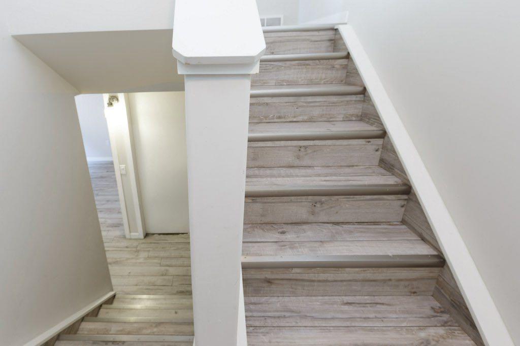 Fourth View of 5521A Maddock Drive NE, Marlborough Park, Calgary, Alberta, T2A 3W2