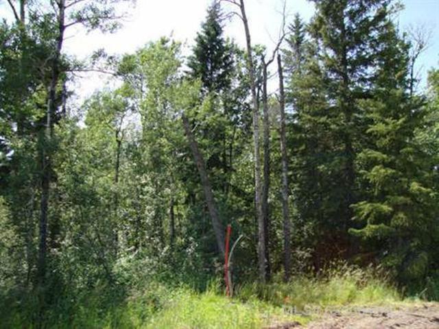 Third View of Lot 1 Blk 5 LAKESIDE Drive , NONE, Perch Lake, Saskatchewan, S0M 2G0