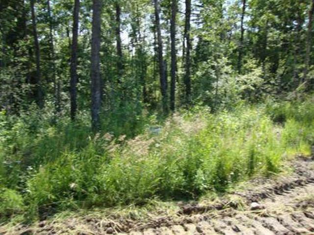 Fourth View of Lot 3 Blk 5 LAKESIDE Drive , NONE, Perch Lake, Saskatchewan, S0M 2G0