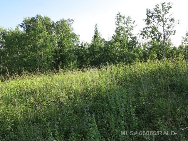Fourth View of Lot 12 Blk 1 LAKESIDE Drive , NONE, Perch Lake, Saskatchewan, S0M 2G0