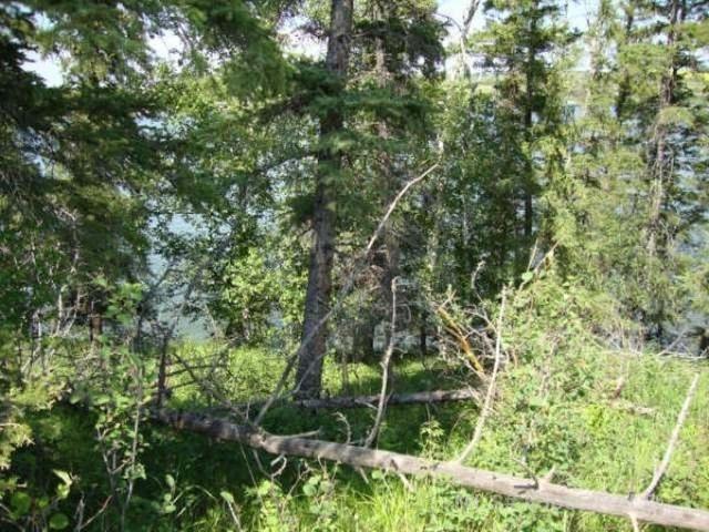 Fifth View of Lot 12 Blk 1 LAKESIDE Drive , NONE, Perch Lake, Saskatchewan, S0M 2G0