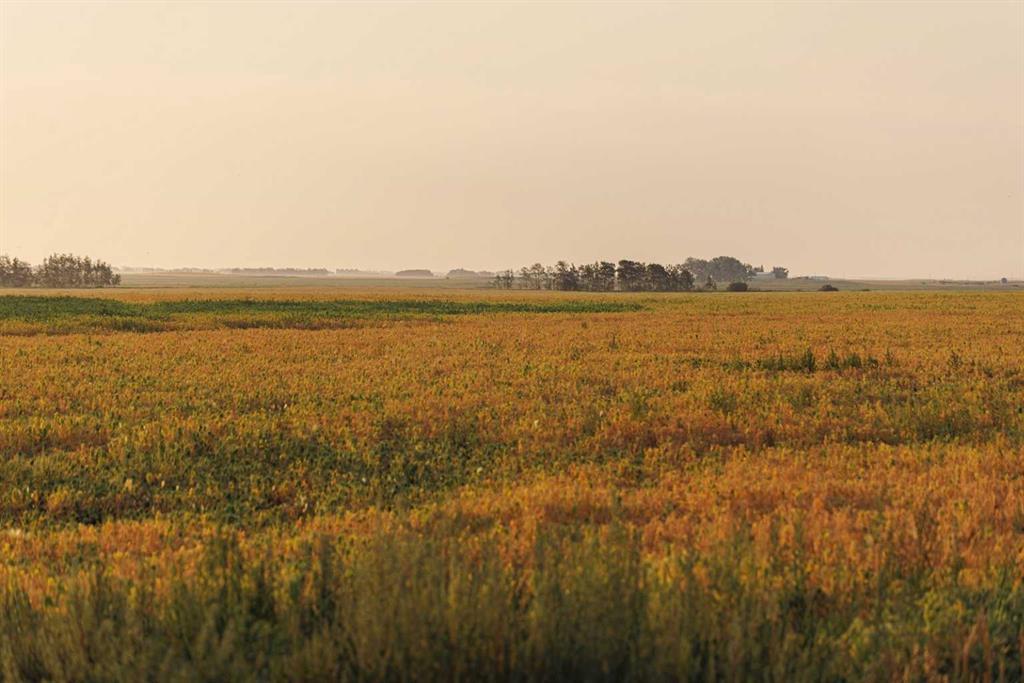 Parcel 9 Range Road 271 just south of Highway 9  , A2252287, Alberta,