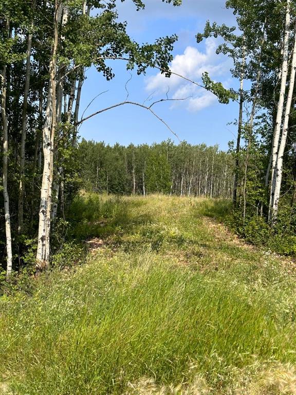 123, 67417 McGrane Road  , A2254769, Alberta,