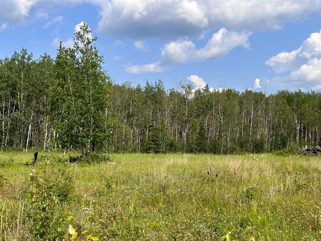 Third View of 121, 67417 McGrane Road  , Lac La Biche, Lac La Biche, Alberta, T0A 2C2