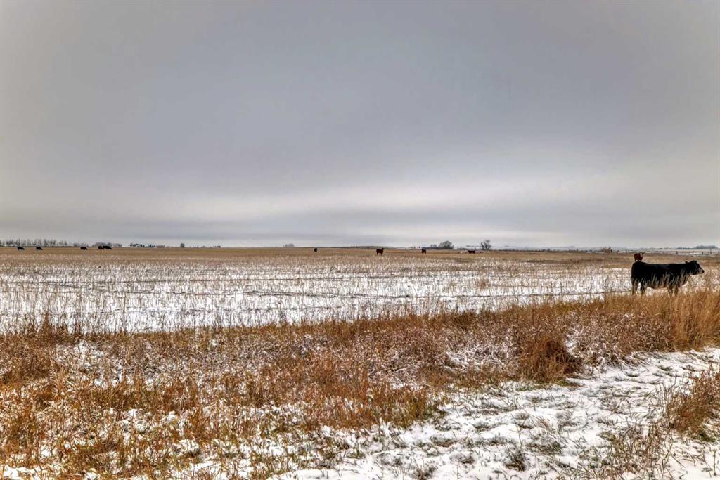  Range Road 241  , A2255351, Alberta,