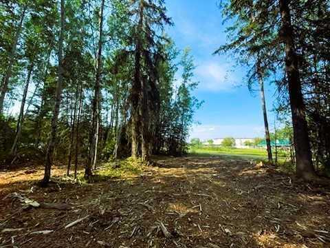 931 Wolf Trail , A2257008, Alberta,